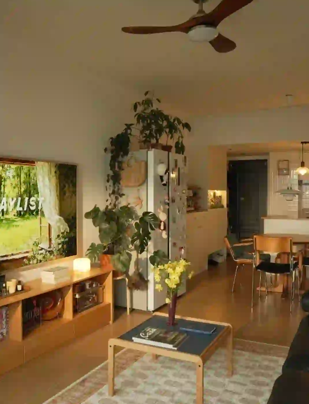 入住56m²小家四年，我只选让我心动的板材